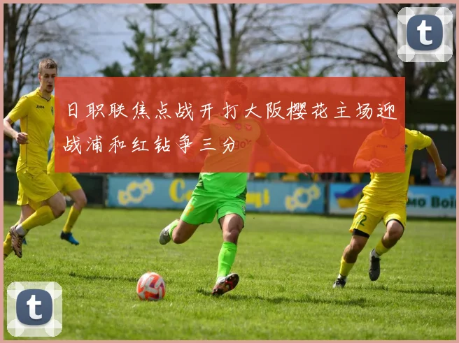 日职联焦点战开打大阪樱花主场迎战浦和红钻争三分